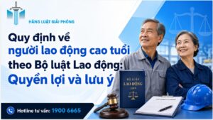 Quy định quyền lợi của người lao động cao tuổi theo Bộ luật Lao động 2019: Những điều doanh nghiệp và người lao động cần biết năm 2026.